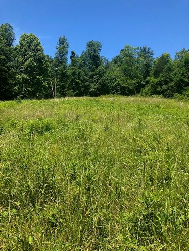 1915 Mount Zion Rd, Frankfort, KY 40601